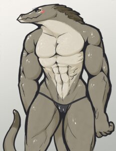 Rating: Explicit Score: 0 Tags: 2010 abs anthro biceps blush chameli_muthupalaniappan clothing e621 featureless_chest female genitals looking_at_viewer muscular muscular_anthro muscular_female pose reptile ritts scalie simple_background solo tail underwear vulva white_background User: bunchy7s