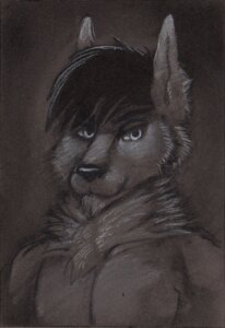 Rating: Safe Score: 0 Tags: 2012 anthro bust_portrait canid canine canis charcoal_(artwork) clothed clothing e621 fur hi_res highlights_(coloring) looking_at_viewer male mammal monochrome muscular muscular_anthro muscular_male nude pecs portrait pose reddyeno5 reverse_charcoal simple_background sketch solo topless traditional_media_(artwork) wolf User: bunchy7s