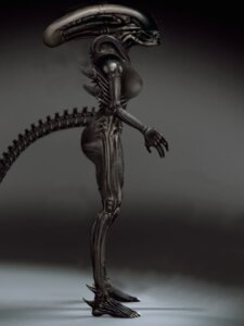 Rating: Questionable Score: 0 Tags: 2011 alien alien_(franchise) anatomy big_breasts big_butt breasts butt e621 exoskeleton eyeless female grey_body grey_exoskeleton monster nude solo tail unknown_artist xenomorph User: bunchy7s Rating: Questionable Score: 0 Tags: 2011 alien alien_(franchise) anatomy big_breasts big_butt breasts butt e621 exoskeleton eyeless female grey_body grey_exoskeleton monster nude solo tail unknown_artist xenomorph User: bunchy7s
