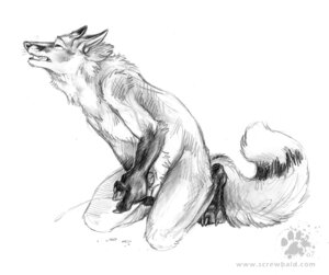 Rating: Explicit Score: 0 Tags: 2007 animal_genitalia animal_penis anthro blotch bodily_fluids canid canine canine_genitalia canine_penis cum cumshot e621 ejaculation erection eyes_closed fox genital_fluids genitals gloves_(marking) knot male mammal markings masturbation monochrome nude orgasm penile penile_masturbation penis red_fox scratches_volume_1 sheath solo tail traditional_media_(artwork) true_fox User: bunchy7s
