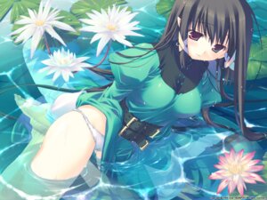 Rating: Explicit Score: 0 Tags: 1girls barefoot belt black_hair blush breasts brown_hair cameltoe color dress dress_lift elf feet female female_only flower fullani game_cg green_dress hair_ribbon hands_on_feet highres kneeling lace-trimmed_panties lily_pad long_hair looking_down lowleg lowleg_panties mitsumi_misato nun panties pantyshot pointy_ears purple_eyes pussy ribbon rule34 sheramirenu sierra_mylene solo submerged thighs underwear vip_quality wallpaper water water_lily wet wet_clothes white_panties User: bunchy7s