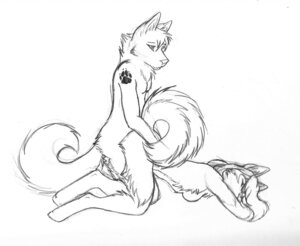 Rating: Explicit Score: 0 Tags: anthro black_and_white breasts canine claws closed_eyes couple doggy_style female hair hindpaw husky inkpawz long_hair male monochrome nude paws penetration plain_background pussy rule34 sex straight tail tattoo vaginal_penetration white_background User: bunchy7s Rating: Explicit Score: 0 Tags: anthro black_and_white breasts canine claws closed_eyes couple doggy_style female hair hindpaw husky inkpawz long_hair male monochrome nude paws penetration plain_background pussy rule34 sex straight tail tattoo vaginal_penetration white_background User: bunchy7s