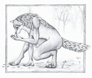 Rating: Safe Score: 0 Tags: 2006 5_fingers anthro biped canid canine canis claws crouching detailed digitigrade e621 feet fingers full-length_portrait fur greyscale jewelry male mammal monochrome myenia mythological_canine mythological_creature mythology necklace nude outside plant portrait ring side_view solo tail tree werecanid werecanine werecreature werewolf wolf User: bunchy7s Rating: Safe Score: 0 Tags: 2006 5_fingers anthro biped canid canine canis claws crouching detailed digitigrade e621 feet fingers full-length_portrait fur greyscale jewelry male mammal monochrome myenia mythological_canine mythological_creature mythology necklace nude outside plant portrait ring side_view solo tail tree werecanid werecanine werecreature werewolf wolf User: bunchy7s