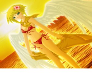 Rating: Explicit Score: 0 Tags: angel beach bikini blonde_hair color dutch_angle female female_only front_view green_eyes outdoors rule34 side-tie_bikini solo source_request sunset swimsuit towel wings User: bunchy7s Rating: Explicit Score: 0 Tags: angel beach bikini blonde_hair color dutch_angle female female_only front_view green_eyes outdoors rule34 side-tie_bikini solo source_request sunset swimsuit towel wings User: bunchy7s