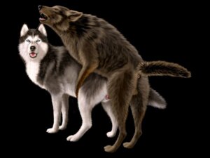 Rating: Explicit Score: 0 Tags: animal_genitalia animal_penis animal_vulva anus backsack balls barely_visible_genitalia barely_visible_penis black_background black_body black_fur black_nose blue_eyes brown_body brown_fur canid canine canis countershade_face countershade_torso countershading domestic_dog duo e621 ebon_lupus eyes_closed fangs female feral feral_on_feral fluffy fluffy_tail fur genitals grey_body grey_fur husky inner_ear_fluff intraspecies looking_at_viewer male male/female mammal multicolored_body multicolored_fur nordic_sled_dog northwestern_wolf open_mouth paws penis sex siberian_husky simple_background spitz tail teeth tongue tuft vulva white_body white_fur wolf User: bunchy7s Rating: Explicit Score: 0 Tags: animal_genitalia animal_penis animal_vulva anus backsack balls barely_visible_genitalia barely_visible_penis black_background black_body black_fur black_nose blue_eyes brown_body brown_fur canid canine canis countershade_face countershade_torso countershading domestic_dog duo e621 ebon_lupus eyes_closed fangs female feral feral_on_feral fluffy fluffy_tail fur genitals grey_body grey_fur husky inner_ear_fluff intraspecies looking_at_viewer male male/female mammal multicolored_body multicolored_fur nordic_sled_dog northwestern_wolf open_mouth paws penis sex siberian_husky simple_background spitz tail teeth tongue tuft vulva white_body white_fur wolf User: bunchy7s