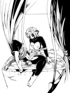 Rating: Questionable Score: 0 Tags: anthro bear bed black_and_white clothed clothing e621 female furniture giant_panda mammal monochrome nipple_piercing nipples panties piercing sanny seductive solo sushi_(nitro) topless underwear User: bunchy7s Rating: Questionable Score: 0 Tags: anthro bear bed black_and_white clothed clothing e621 female furniture giant_panda mammal monochrome nipple_piercing nipples panties piercing sanny seductive solo sushi_(nitro) topless underwear User: bunchy7s