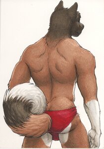 Rating: Questionable Score: 0 Tags: 2009 akita anthro back_muscles biceps biped black_body black_fur brown_body brown_fur canid canine canis clothed clothing countershading curled_tail domestic_dog e621 fur gloves_(marking) hurst low_res male mammal markings multicolored_body multicolored_fur muscular muscular_anthro muscular_male portrait ratcandy rear_view simple_background solo speedo spitz standing swimwear tail three-quarter_portrait topless white_background white_body white_countershading white_fur User: bunchy7s