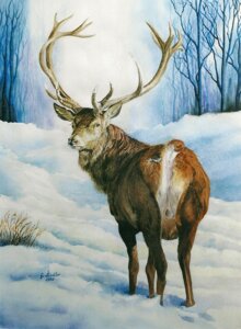 Rating: Explicit Score: 0 Tags: anus balls deer e621 feral genitals gstadlergstadler hooves male mammal nude outside painting_(artwork) snow solo traditional_media_(artwork) traditional_painting_(artwork) traditional_watercolor_(artwork) watercolor_(artwork) winter User: bunchy7s