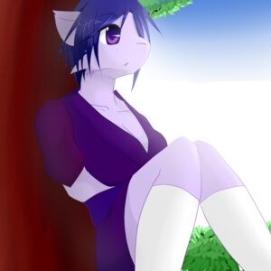 Rating: Safe Score: 0 Tags: 1:1 anthro biped blue_eyes blue_hair clothed clothing cloud day e621 female hair legwear outside sitting sky solo stockings tsubasa1110 User: bunchy7s
