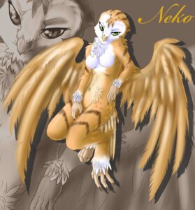 Rating: Questionable Score: 0 Tags: anthro avian beak bird breasts e621 female non-mammal_breasts nude owl solo ticl User: bunchy7s Rating: Questionable Score: 0 Tags: anthro avian beak bird breasts e621 female non-mammal_breasts nude owl solo ticl User: bunchy7s