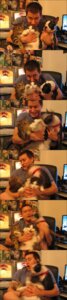 Rating: Safe Score: 0 Tags: absurd_res canid canine canis classic_tabby domestic_cat domestic_dog domestic_pet e621 felid feline felis feral grandfathered_content group hi_res human insane long_image male mammal motion_blur panicking real regret tabby_cat tall_image unknown_artist what User: bunchy7s