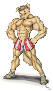 Rating: Questionable Score: 0 Tags: abs anthro blue_eyes bottomwear bulge canid canine clothed clothing e621 flexing floppy_ears looking_at_viewer male mammal muscular muscular_anthro muscular_male nipples pose shorts smile solo stripes tail wolfgangcake User: bunchy7s Rating: Questionable Score: 0 Tags: abs anthro blue_eyes bottomwear bulge canid canine clothed clothing e621 flexing floppy_ears looking_at_viewer male mammal muscular muscular_anthro muscular_male nipples pose shorts smile solo stripes tail wolfgangcake User: bunchy7s