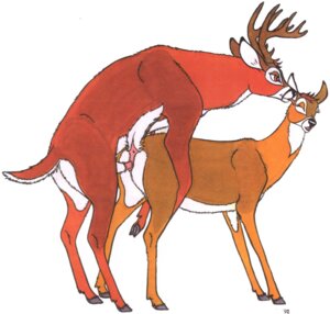 Rating: Explicit Score: 0 Tags: 1992 anatomically_correct anatomically_correct_genitalia anatomically_correct_penis anatomically_correct_vulva animal_genitalia animal_penis animal_vulva antlers anus belly brown_body brown_eyes brown_fur butt cervine_genitalia cervine_penis cervine_vulva deer doggystyle duo e621 erection eyes_closed female feral feral_on_feral from_behind_position fur genitals happy happy_sex hi_res hooves horn licking male male/female mammal multicolored_body multicolored_fur new_world_deer nude open_mouth orange_body orange_fur penetration penile penile_penetration penis penis_in_vagina raised_tail red_body red_fur sex side_view simple_background tail tail_anus tim_o'rourke tongue tongue_out traditional_media_(artwork) two_tone_body two_tone_fur vaginal vaginal_penetration vulva white-tailed_deer white_background white_belly white_body white_fur User: bunchy7s