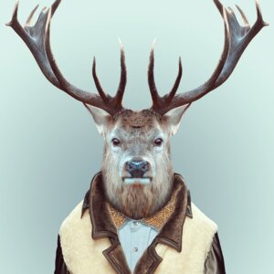 Rating: Safe Score: 0 Tags: 1:1 anthro black_nose black_sclera blue_background brown_body brown_fur clothed clothing deer e621 fur looking_at_viewer male mammal simple_background solo yago_partal User: bunchy7s Rating: Safe Score: 0 Tags: 1:1 anthro black_nose black_sclera blue_background brown_body brown_fur clothed clothing deer e621 fur looking_at_viewer male mammal simple_background solo yago_partal User: bunchy7s