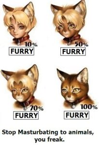 Rating: Questionable Score: 0 Tags: ambiguous_gender animal_humanoid anthro cat_humanoid collar collar_ring collar_tag comparison dangerously_furry_(meme) domestic_cat e621 english_text felid felid_humanoid feline feline_humanoid felis feral fur grandfathered_content humanoid humanoid_to_anthro low_res mammal mammal_humanoid meme po-ju red_collar solo text third-party_edit transformation yellow_body yellow_eyes yellow_fur User: bunchy7s