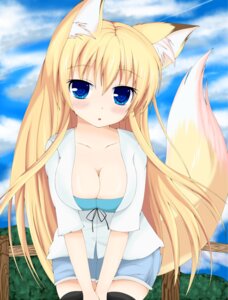 Rating: Safe Score: 0 Tags: absurd_res animal_humanoid big_breasts blonde_hair blue_eyes blush breasts canid canid_humanoid canine canine_humanoid cleavage clothed clothing cloud dipstick_tail e621 female fox fox_humanoid hair hi_res humanoid kasumi_toshizou legwear long_hair looking_at_viewer mammal mammal_humanoid markings outside sky solo tail tail_markings thigh_highs yamachan User: bunchy7s