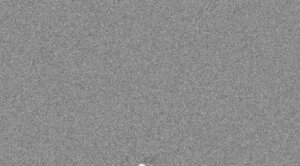 Rating: Questionable Score: 0 Tags: ambiguous_gender animated animated_gif blood bodily_fluids brain dialogue duo e621 english_text gesture hand_gesture humor lagomorph leporid mammal middle_finger monochrome organs rabbit ragenineteen short_playtime smug text violence User: bunchy7s Rating: Questionable Score: 0 Tags: ambiguous_gender animated animated_gif blood bodily_fluids brain dialogue duo e621 english_text gesture hand_gesture humor lagomorph leporid mammal middle_finger monochrome organs rabbit ragenineteen short_playtime smug text violence User: bunchy7s