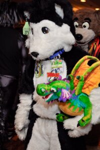 Rating: Safe Score: 0 Tags: 2010 ambiguous_gender anthro canid canine canis clothing collar costume domestic_dog dragon e621 fursuit grandfathered_content group mammal mythological_creature mythological_scalie mythology photography_(artwork) plushie real scalie unknown_artist User: bunchy7s Rating: Safe Score: 0 Tags: 2010 ambiguous_gender anthro canid canine canis clothing collar costume domestic_dog dragon e621 fursuit grandfathered_content group mammal mythological_creature mythological_scalie mythology photography_(artwork) plushie real scalie unknown_artist User: bunchy7s