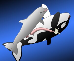 Rating: Explicit Score: 0 Tags: flipper free_willy male male_only rule34 tagme User: bunchy7s