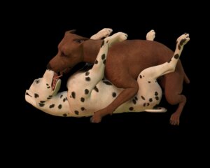 Rating: Explicit Score: 0 Tags: 3d_(artwork) 5:4 ambiguous_gender canid canine canis dalmatian digital_media_(artwork) digitigrade domestic_dog duo e621 feral from_front_position lying male mammal missionary_position on_back open_mouth quadruped sex tail tongue tongue_out unknown_artist User: bunchy7s Rating: Explicit Score: 0 Tags: 3d_(artwork) 5:4 ambiguous_gender canid canine canis dalmatian digital_media_(artwork) digitigrade domestic_dog duo e621 feral from_front_position lying male mammal missionary_position on_back open_mouth quadruped sex tail tongue tongue_out unknown_artist User: bunchy7s