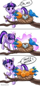 Rating: Safe Score: 0 Tags: 2013 avian bird birds_nest bluebird branch comic cutie_mark e621 egg equid equine feathered_wings feathers female feral friendship_is_magic fur glowing hair hasbro horn in_tree magic mammal multicolored_hair my_little_pony mythological_creature mythological_equine mythology nest oscine passerine plant purple_body purple_eyes purple_fur purple_hair racoon-kun simple_background sparkles thrush_(bird) transformation tree twilight_sparkle_(mlp) two_tone_hair unicorn white_background wings User: bunchy7s