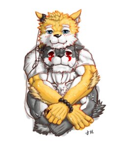 Rating: Safe Score: 0 Tags: 2012 5_fingers anthro blue_eyes blush canid canine canis cross duo e621 facial_markings fingers fur grey_body grey_fur head_markings holding_object inner_ear_fluff looking_at_viewer love male mammal markings muscular orange_body orange_fur red_eyes simple_background tuft white_background white_body white_fur wolf xiao_yao_xian_sen young young_anthro User: bunchy7s