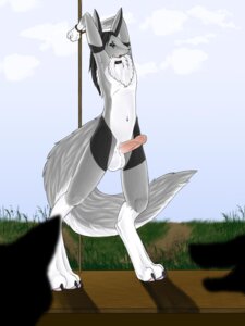 Rating: Explicit Score: 0 Tags: 2009 3:4 albelwolf alternate_color anthro balls bandai_namco biped black_sclera bound canid canine chest_tuft claws cloud collar digimon digimon_(species) e621 erection exhibitionism fan_character folxmon fur genitals green_eyes hair hi_res humanoid_genitalia humanoid_penis kitsune_nyx long_hair male mammal mane markings nude outside penis renamon sky slave solo submissive submissive_male tail tuft User: bunchy7s