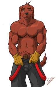 Rating: Explicit Score: 0 Tags: 2010 abs anthro balls biceps bottomwear brown_body brown_fur bulge canid canine canis chestnuts_(artist) clothed clothing darkened_genitalia darkened_penis domestic_dog e621 firefighter fur genitals gloves gus handwear hose looking_at_viewer male mammal manly muscular muscular_anthro muscular_male nipples pants pecs penis penis_base pose solo tail teasing topless turnout_gear undressing uniform vein User: bunchy7s