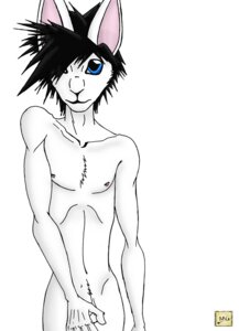 Rating: Explicit Score: 0 Tags: anthro balls black_hair blue_eyes e621 flaccid genitals hair lagomorph leporid looking_at_viewer male mammal milo_nettle nipples nude penis rabbit simple_background solo white_background User: bunchy7s