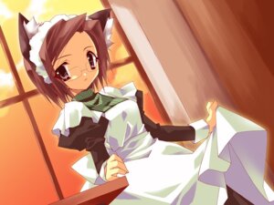 Rating: Questionable Score: 0 Tags: 4:3 5_fingers animal_humanoid brown_body brown_eyes brown_fur brown_hair cat_humanoid clothed clothing day dutch_angle e621 eyewear felid felid_humanoid feline feline_humanoid female fingers fully_clothed fur glasses hair humanoid humanoid_hands inner_ear_fluff inside looking_at_viewer maid_uniform mammal mammal_humanoid short_hair sky solo tan_body tan_skin toony tuft uniform unknown_artist window User: bunchy7s