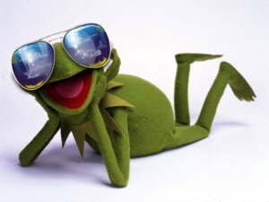 Rating: Safe Score: 0 Tags: 4:3 amphibian anthro arm_support digital_media_(artwork) e621 eyewear frog grandfathered_content kermit_the_frog leaning_on_elbow male mixed_media muppets open_mouth real shopped solo sunglasses third-party_edit unknown_artist wallpaper User: bunchy7s Rating: Safe Score: 0 Tags: 4:3 amphibian anthro arm_support digital_media_(artwork) e621 eyewear frog grandfathered_content kermit_the_frog leaning_on_elbow male mixed_media muppets open_mouth real shopped solo sunglasses third-party_edit unknown_artist wallpaper User: bunchy7s