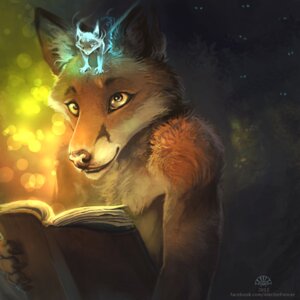 Rating: Safe Score: 0 Tags: 1:1 2012 5_fingers alectorfencer anthro book brown_body brown_fur canid canine carrying_another claws clothed clothing duo e621 fingers fox fur glowing holding_book holding_object male mammal night on_head orange_body orange_fur outside reading size_difference spirit topless yellow_eyes User: bunchy7s Rating: Safe Score: 0 Tags: 1:1 2012 5_fingers alectorfencer anthro book brown_body brown_fur canid canine carrying_another claws clothed clothing duo e621 fingers fox fur glowing holding_book holding_object male mammal night on_head orange_body orange_fur outside reading size_difference spirit topless yellow_eyes User: bunchy7s