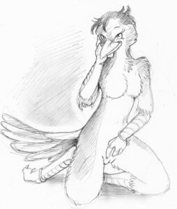 Rating: Explicit Score: 0 Tags: 2013 anthro avian bird breasts e621 female genitals lizanne lyrebird monochrome non-mammal_breasts nude oscine passerine sanssouci sketch solo superb_lyrebird vulva User: bunchy7s Rating: Explicit Score: 0 Tags: 2013 anthro avian bird breasts e621 female genitals lizanne lyrebird monochrome non-mammal_breasts nude oscine passerine sanssouci sketch solo superb_lyrebird vulva User: bunchy7s