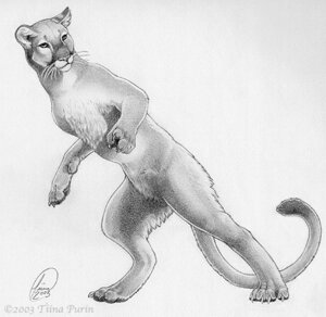 Rating: Safe Score: 0 Tags: 2003 ambiguous_feral ambiguous_gender artist_name claws cougar dated digitigrade e621 english_text felid feline feral fur gesture greyscale hand_gesture looking_at_viewer mammal monochrome on_hind_legs paws pointing pointing_at_viewer quadruped semi-anthro signature simple_background solo tail text tiina_purin whiskers white_background User: bunchy7s Rating: Safe Score: 0 Tags: 2003 ambiguous_feral ambiguous_gender artist_name claws cougar dated digitigrade e621 english_text felid feline feral fur gesture greyscale hand_gesture looking_at_viewer mammal monochrome on_hind_legs paws pointing pointing_at_viewer quadruped semi-anthro signature simple_background solo tail text tiina_purin whiskers white_background User: bunchy7s
