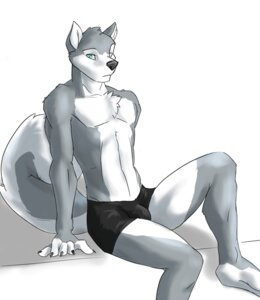Rating: Questionable Score: 0 Tags: anthro bulge canid canine canis clothing domestic_dog e621 husky jaggiekant male mammal nordic_sled_dog solo spitz underwear User: bunchy7s Rating: Questionable Score: 0 Tags: anthro bulge canid canine canis clothing domestic_dog e621 husky jaggiekant male mammal nordic_sled_dog solo spitz underwear User: bunchy7s