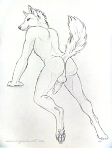 Rating: Explicit Score: 0 Tags: 2010 anthro anus backsack balls black_and_white butt canid canine canis e621 erection genitals male mammal monochrome mooning myenia nude penis presenting presenting_hindquarters raised_tail sketch solo tail wolf User: bunchy7s Rating: Explicit Score: 0 Tags: 2010 anthro anus backsack balls black_and_white butt canid canine canis e621 erection genitals male mammal monochrome mooning myenia nude penis presenting presenting_hindquarters raised_tail sketch solo tail wolf User: bunchy7s