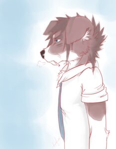 Rating: Safe Score: 0 Tags: accessory anthro biped blue_eyes breath brown_body brown_fur canid canine canis chest_tuft cigarette clothed clothing digital_media_(artwork) domestic_dog e621 floppy_ears fur half-length_portrait inner_ear_fluff lexii_(artist) male mammal mouth_hold necktie portrait shirt side_view smoking solo standing student topwear tuft white_clothing white_topwear User: bunchy7s