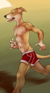Rating: Safe Score: 0 Tags: abs anthro athletic biceps biped black_nose bottomwear brown_body brown_fur canid canine canis clothed clothing demicoeur digital_media_(artwork) domestic_dog e621 fangs fur greyhound hunting_dog jogging kwikdog male mammal muscular muscular_anthro nipples open_mouth pecs pose red_bottomwear red_clothing red_shorts running shorts sighthound solo standing tail teeth tongue tongue_out topless User: bunchy7s Rating: Safe Score: 0 Tags: abs anthro athletic biceps biped black_nose bottomwear brown_body brown_fur canid canine canis clothed clothing demicoeur digital_media_(artwork) domestic_dog e621 fangs fur greyhound hunting_dog jogging kwikdog male mammal muscular muscular_anthro nipples open_mouth pecs pose red_bottomwear red_clothing red_shorts running shorts sighthound solo standing tail teeth tongue tongue_out topless User: bunchy7s