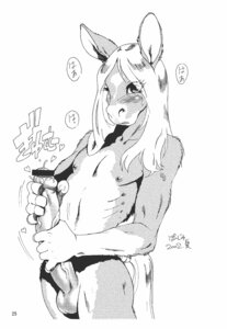 Rating: Explicit Score: 0 Tags: 1boy anthro balls blush comic condensed_juice equine heart horse male male_only masturbation monochrome penis po-ju precum rule34 solo User: bunchy7s