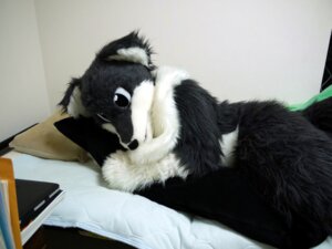 Rating: Safe Score: 0 Tags: ambiguous_gender anthro bed canid canine clothing cosplay costume e621 fox furniture fursuit grandfathered_content inside mammal netiel on_bed photography_(artwork) real solo User: bunchy7s