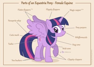 Rating: Safe Score: 0 Tags: anatomy anatomy_of biological_illustration cutie_mark dm29 e621 english_text equid equine feathered_wings feathers female feral friendship_is_magic fur hair hasbro horn mammal model_sheet multicolored_hair my_little_pony mythological_creature mythological_equine mythology purple_body purple_feathers purple_fur purple_hair side_view solo species_sheet technical_illustration text twilight_sparkle_(mlp) two_tone_hair winged_unicorn wings zoological_illustration User: bunchy7s Rating: Safe Score: 0 Tags: anatomy anatomy_of biological_illustration cutie_mark dm29 e621 english_text equid equine feathered_wings feathers female feral friendship_is_magic fur hair hasbro horn mammal model_sheet multicolored_hair my_little_pony mythological_creature mythological_equine mythology purple_body purple_feathers purple_fur purple_hair side_view solo species_sheet technical_illustration text twilight_sparkle_(mlp) two_tone_hair winged_unicorn wings zoological_illustration User: bunchy7s
