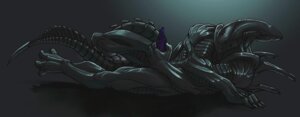 Rating: Explicit Score: 0 Tags: 2012 alien alien_(franchise) anthro biped bodily_fluids claws dark digitigrade drooling e621 erection exoskeleton genitals lying male masturbation muscular muscular_anthro muscular_male on_back pcz penile penile_masturbation penis purple_penis saliva snakehead404 solo tail xenomorph User: bunchy7s