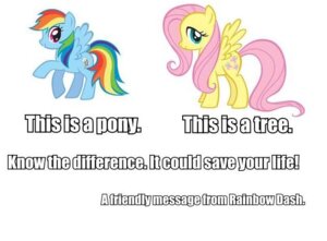 Rating: Safe Score: 0 Tags: blue_body blue_feathers blue_fur duo e621 english_text equid equine feathered_wings feathers female feral fluttershy_(mlp) friendship_is_magic fur grandfathered_content hair hasbro mammal multicolored_hair multicolored_tail my_little_pony mythological_creature mythological_equine mythology pegasus pink_hair rainbow_dash_(mlp) rainbow_hair rainbow_tail simple_background tail text unknown_artist white_background wings yellow_body yellow_feathers User: bunchy7s
