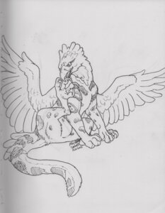 Rating: Questionable Score: 0 Tags: 2012 4_toes absurd_res accipitrid accipitriform aquilinae avian beak bird black_and_white claws crowned_eagle e621 eagle feathered_crest feathered_wings feathers feet felid feral foot_fetish graphite_(artwork) gryphon head_crest hi_res hindpaw hybrid leopard male mammal mixed_media monochrome mythological_avian mythological_creature mythology noxy_(avian) pantherine paws pen_(artwork) reverse_gryphon saeto15 signature solo tail talons toe_claws toes traditional_media_(artwork) wings User: bunchy7s