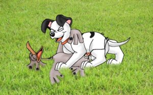 Rating: Explicit Score: 0 Tags: 101_dalmatians 101_dalmatians:_the_series 16:10 avian bird canid canine canis chicken dalmatian disney domestic_dog duo e621 erection female feral feral_on_feral from_front_position galliform genitals grass interspecies lucky_(101_dalmatians) lying male male/female mammal manicsfan markings missionary_position nude on_back penis phasianid plant sex spot_(101_dalmatians) spots spotted_body widescreen young young_feral User: bunchy7s Rating: Explicit Score: 0 Tags: 101_dalmatians 101_dalmatians:_the_series 16:10 avian bird canid canine canis chicken dalmatian disney domestic_dog duo e621 erection female feral feral_on_feral from_front_position galliform genitals grass interspecies lucky_(101_dalmatians) lying male male/female mammal manicsfan markings missionary_position nude on_back penis phasianid plant sex spot_(101_dalmatians) spots spotted_body widescreen young young_feral User: bunchy7s