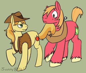 Rating: Safe Score: 0 Tags: 2011 big_macintosh_(mlp) bottomless braeburn_(mlp) clothed clothing cowboy_hat cutie_mark duo e621 earth_pony equid equine feral flirting freckles friendship_is_magic frown fur hair hasbro hat headgear headwear hooves horse looking_at_another looking_back male mammal my_little_pony nude orange_hair plow_yoke pony raised_tail red_body red_fur short_hair simple_background sleeves smile sunshine-blitz tail toony topwear vest wide_eyed User: bunchy7s