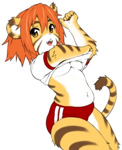 Rating: Questionable Score: 0 Tags: amber_eyes anthro asian_clothing athletic_wear bottomwear breasts buruma clothed clothing e621 east_asian_clothing felid female fur gym_uniform hair japanese_clothing jin6 looking_at_viewer mammal orange_hair pantherine shirt shorts simple_background solo stripes tail tiger topwear under_boob undressing uniform white_background white_body white_fur 甚六 User: bunchy7s