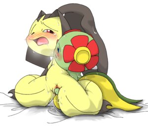 Rating: Explicit Score: 0 Tags: bellossom blue_eyes color female female_only flower insertion interspecies looking_at_another mawile multiple_females multiple_girls nude pasaran plantie pokemon pokemon_(species) pussy red_eyes rule34 tagme vulva wink yuri User: bunchy7s Rating: Explicit Score: 0 Tags: bellossom blue_eyes color female female_only flower insertion interspecies looking_at_another mawile multiple_females multiple_girls nude pasaran plantie pokemon pokemon_(species) pussy red_eyes rule34 tagme vulva wink yuri User: bunchy7s