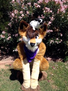 Rating: Safe Score: 0 Tags: 3:4 ambiguous_gender anthro canid canine clothing costume crouching dont_hug_cacti duo e621 feral fox front_view fur fursuit grandfathered_content grass hi_res kerchief lagomorph leporid looking_at_viewer mammal orange_body orange_fur outside photo plant rabbit real User: bunchy7s