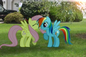 Rating: Safe Score: 0 Tags: blue_body blue_feathers blue_fur building car cutie_mark day duo e621 equid equine feathered_wings feathers female feral fluttershy_(mlp) friendship_is_magic fur grass hair hasbro hi_res house kissing mammal mixed_media multicolored_hair multicolored_tail my_little_pony mythological_creature mythological_equine mythology pegasus photo_background photography_(artwork) pink_hair plant rainbow_dash_(mlp) rainbow_hair rainbow_tail real tail toony tree unknown_artist vehicle wings wood yellow_body yellow_feathers User: bunchy7s Rating: Safe Score: 0 Tags: blue_body blue_feathers blue_fur building car cutie_mark day duo e621 equid equine feathered_wings feathers female feral fluttershy_(mlp) friendship_is_magic fur grass hair hasbro hi_res house kissing mammal mixed_media multicolored_hair multicolored_tail my_little_pony mythological_creature mythological_equine mythology pegasus photo_background photography_(artwork) pink_hair plant rainbow_dash_(mlp) rainbow_hair rainbow_tail real tail toony tree unknown_artist vehicle wings wood yellow_body yellow_feathers User: bunchy7s